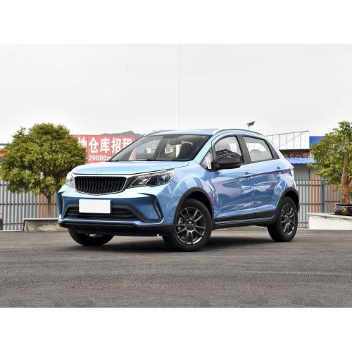 Ruilan Automobile X3 Pro 2024 New Energy Vehicle