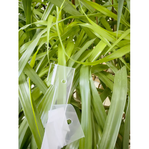 Injection Molding PC Transparent Plastic Parts