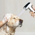 Ducha de mano para rociador de ducha para perros