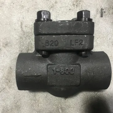 API 602 Forged Steel Check Valve