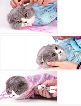 Wash the cat bag and take a bath