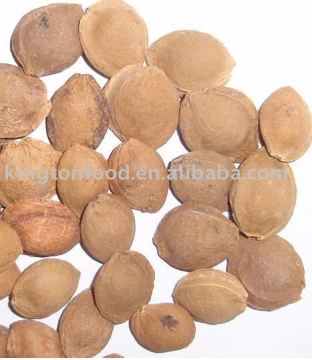 Apricot pit