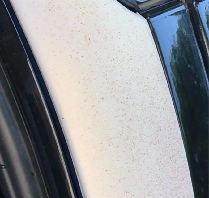 Spotting- vinyl wraps