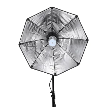 Octagon Photo Video Studio: Lighting & Streaming Equipment