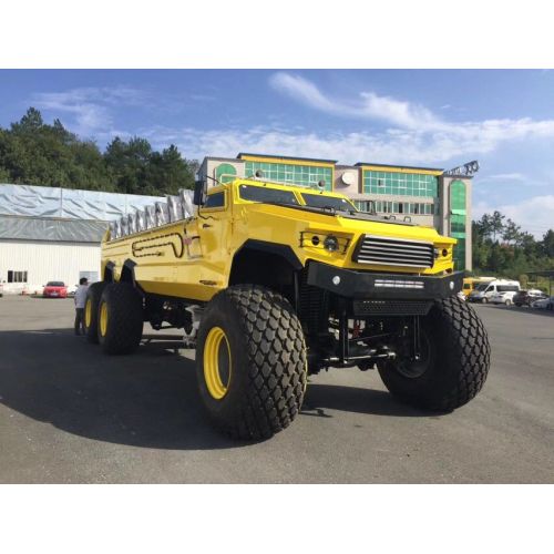 Desert sightseeing Off-road vehicle