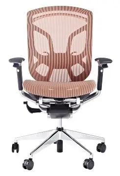 Ergonomic Chair
