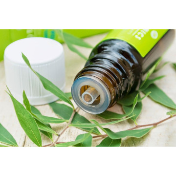 Wholesale Pure Essential Oil Tea Tree Oil Bulk