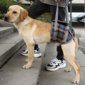 Dog Auxiliary Belt for Recovery