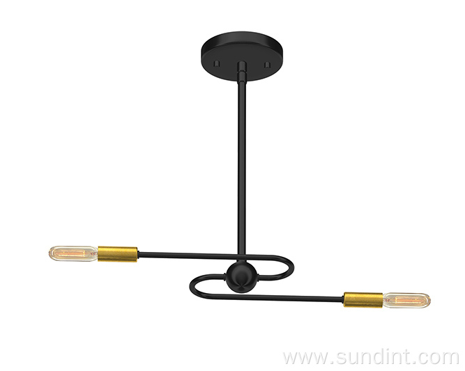 Modern Style Black Led Hotel Decoration Pendant Light