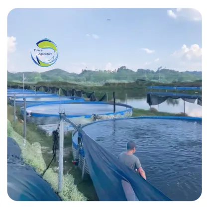 RAS Aquaculture Systems for Tilapia, Catfish, and Shrimp
