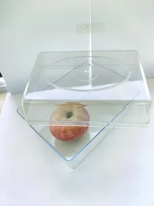 Durable injection box for corn seed germination tray