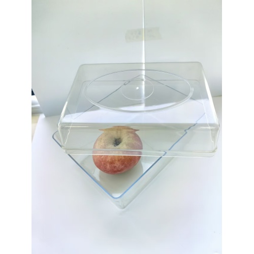 Durable Injection Molding Seed Germination Plastic Box