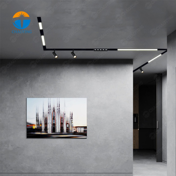 Tuya Wireless 48V 0-10V DALI Dimmable LED Track Lighting System