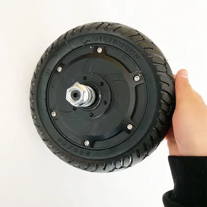 Brushless Dc Hub Motor Electric Tricycle