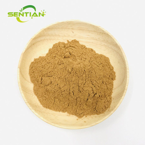High-Quality White Tea Extract