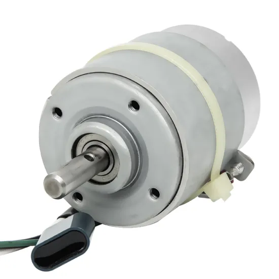Brush Type Motor | Mini Brushed Motor | Brushed Motor Parts