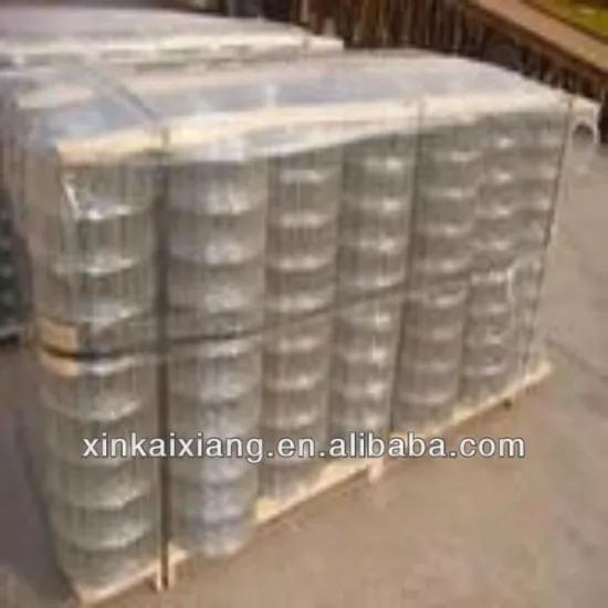 6*6 Hot-dipped galvanized welded wire mesh