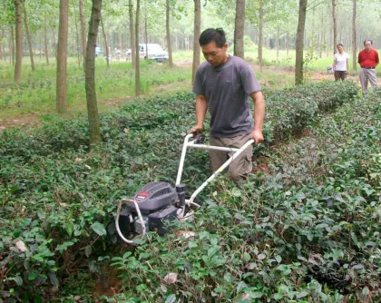 hand start 6.5hp china garden machinery cheap garden tractor