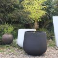 Barato potenciômetros de planta exterior do vintage simples para jardins