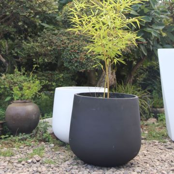 Pot Tanaman Outdoor Vintage Sederhana Murah untuk Kebun