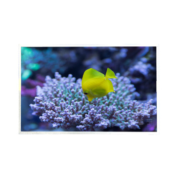 1366x768 Pannello LCD da 15,6 pollici Game G156XW01 V.3 e G156XW01 V3: Modulo LCD da 30 pin in vendita