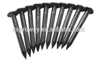 nail and stainless steel nail