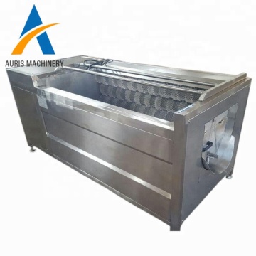 Efficient Ginger and Garlic Prep: Discover the Roller Brush Ginger Washing Machine and Peeler Machine