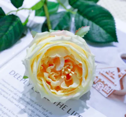 Hot Sale Summer Flowers: Artificial Austin Roses for Wedding Decor