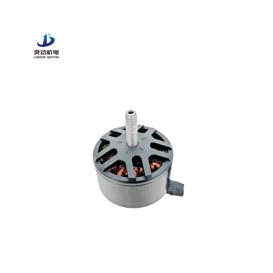 Customizable 12V, 24V, 36V Brushless Drone Motors with Permanent Magnet DC for 7-inch Propeller Drones
