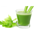 Fresh Celery Juice Powder for Daily Use