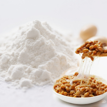 Nattokinase powder for sale