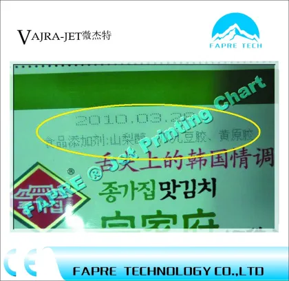 V1000 CIJ Time Date Inkjet Printer