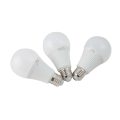 Ampoules de capteur intelligent LED