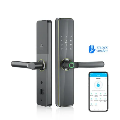 Baoxin Factory RFID WiFi Smart Lever Handle Gate Lock with Fingerprint