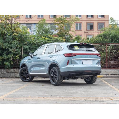 New Modle Chinese Brand Haval H6 Auto Petrol Car Bi Price Bawer û Fast Gasoline Car 4WD SUV