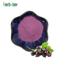 Extracto de bayas de acai natural 5%-70%antocianina