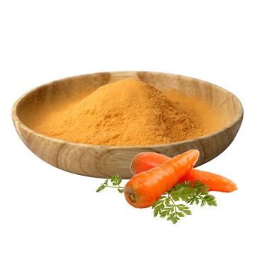 Pulverizador seco vegetal cenoura pó de cenoura em pó
