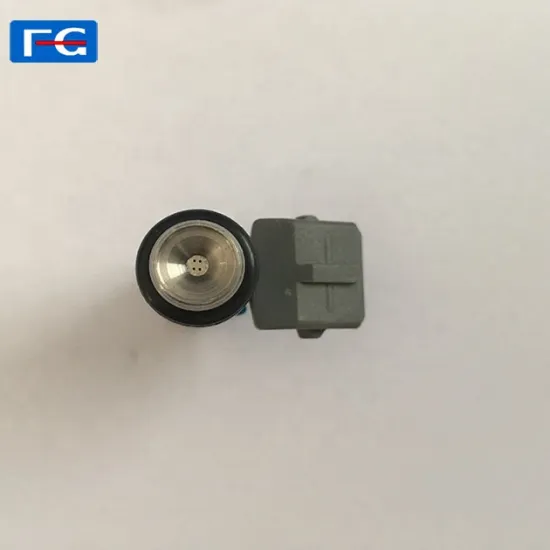 High Quality Fuel Injector Nozzle IWP006 for Cars