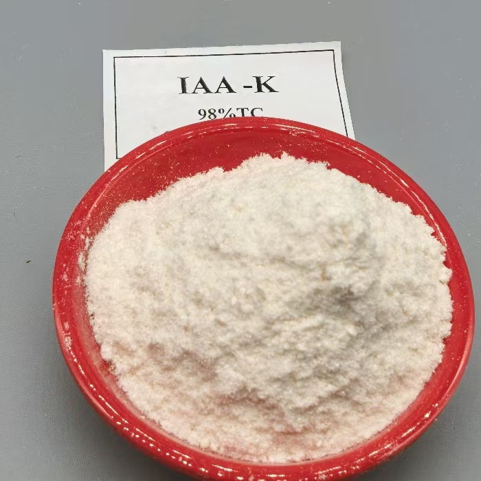 auxin IAA Indole-3-acetic acid Potassium salt IAA-K (26)