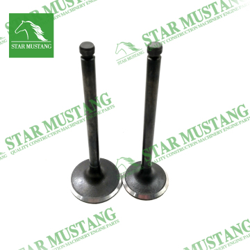 TD42 Engine Valve for Nissan Diesel Machinery Parts