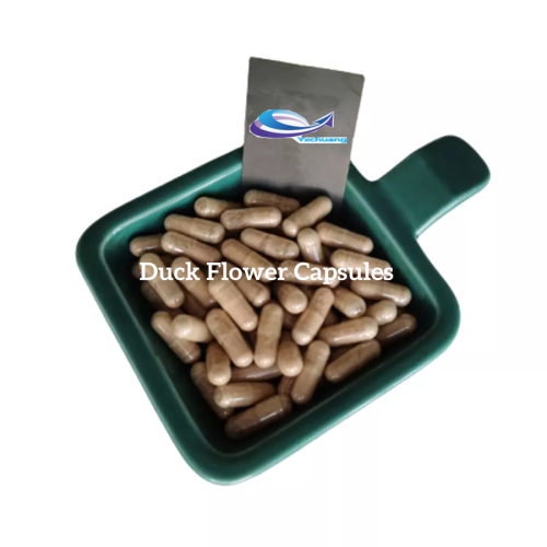 China IMAHERB SUPPLY Duck Flower Capsules with good price Factory