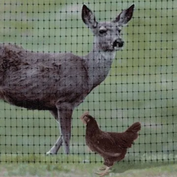 Hebei popular Deer field fence