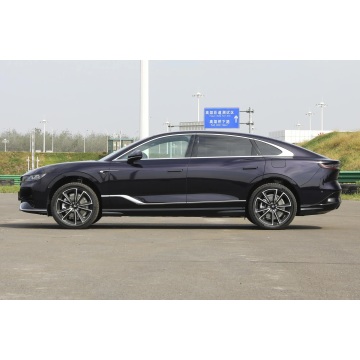 Voyah Passion PHEV The Top Choice