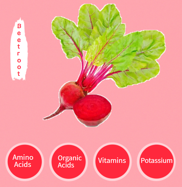 Beetroot Powder2