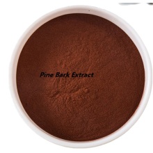 Buy Best Active Ingredients Pine Bark Extract Powder