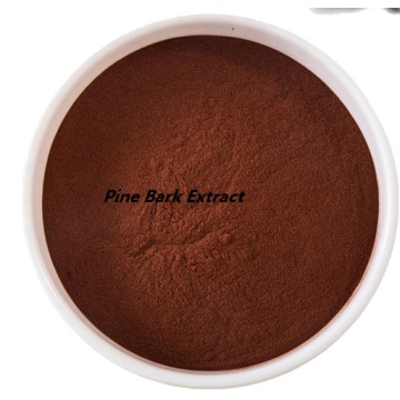 Buy Best Active Ingredients Pine Bark Extract Powder