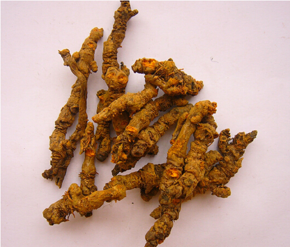 Chinese Herbal Medicine Huanglian