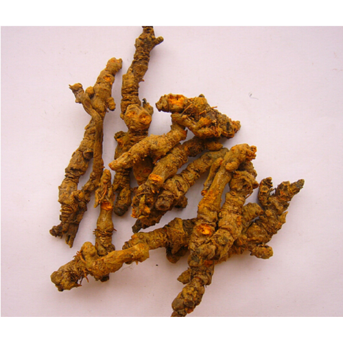 Chinese Herbal Medicine Huanglian