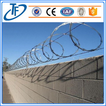 Galvanized concertina wire mesh cukur