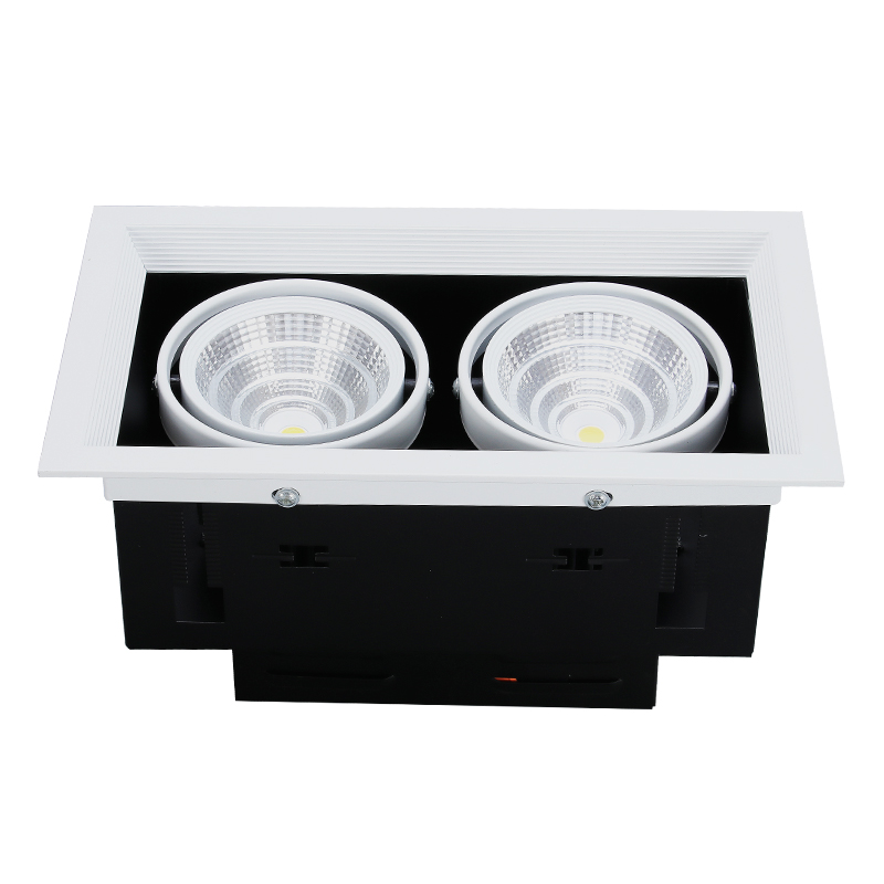 Double Head Fixture Downlight